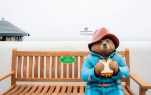 Residents urged to back campaign to bring Paddington Bear to Northamptonshire